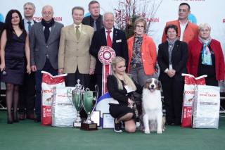 Выставки собак «Киевская Русь-2016»и «Хрусталь-2016» побили все рекорды